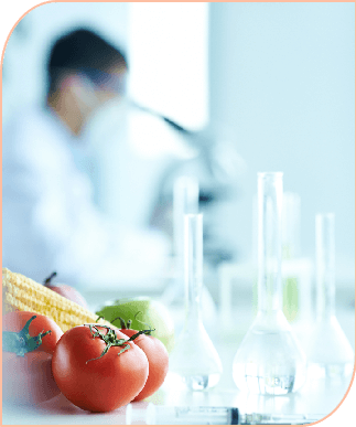 食品科学